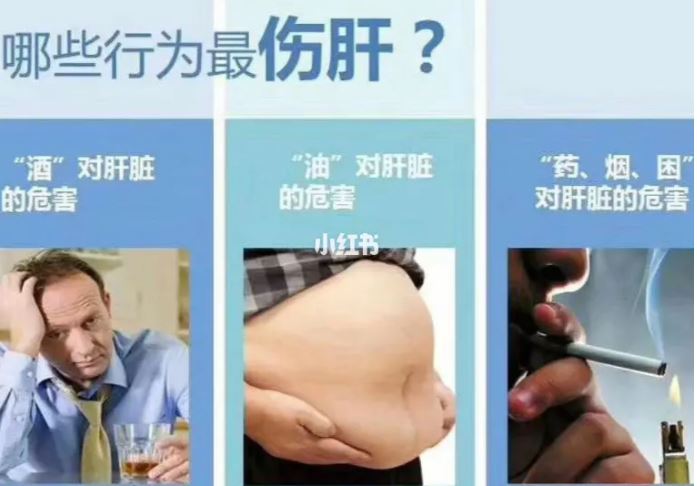肝臟不好有什么表現(xiàn)癥狀有哪些