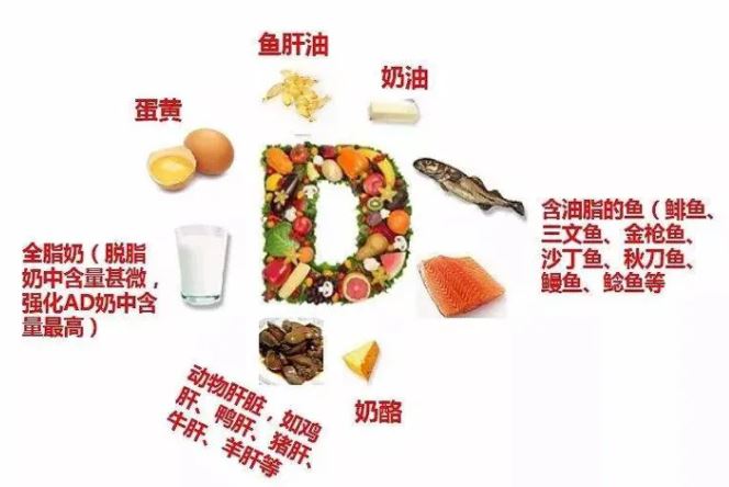 富含維生素d的食物有哪些