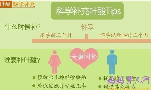 葉酸的作用與功效